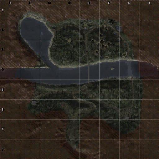 mini-map