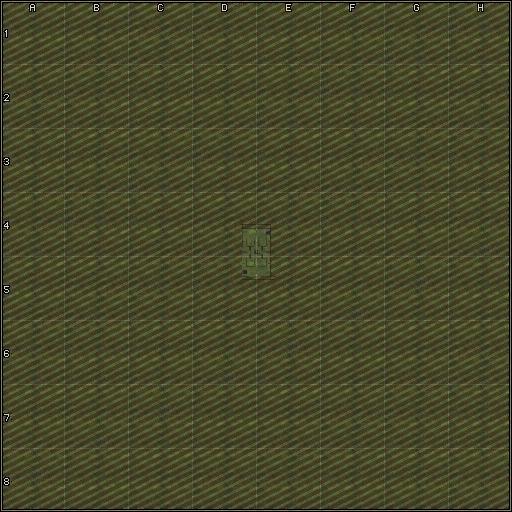 mini-map