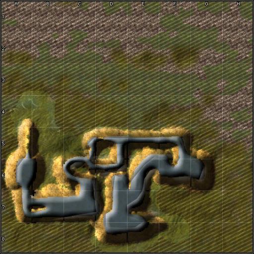 mini-map