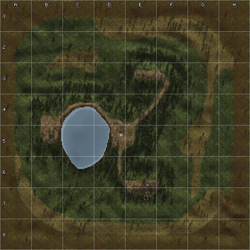 mini-map