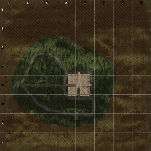 mini-map