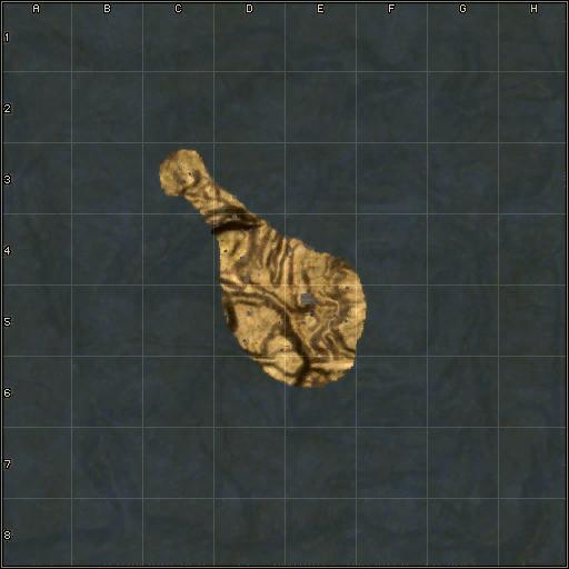 mini-map