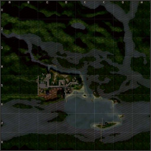 mini-map