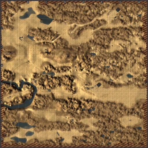 mini-map