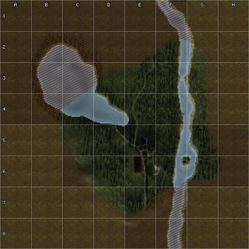 mini-map